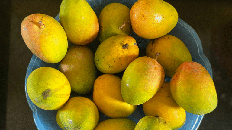 Refreshing Mango Mousse Without Hassle| Yummy And Heart Melting| A Latin American Fusion Delight